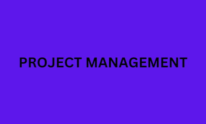 Bestseller - be your project manager