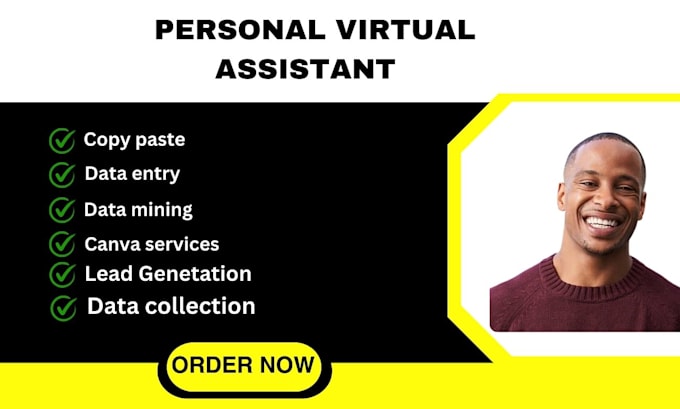 Gig Preview - Be your personal virtual assistant for data collections copy paste data entry