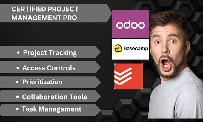 Gig Preview - Setup project management backlog basecamp github todoist odoo eway crm copper