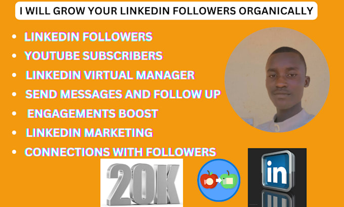 Gig Preview - Grow your linkedin followers organicallly