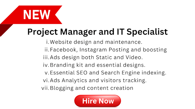 Gig Preview - Be project manager and IT specialist