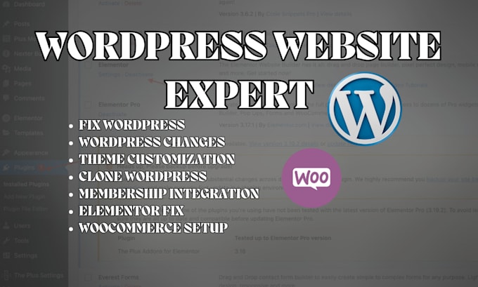 Gig Preview - Quick edit customize wordpress changes fix bugs wordpress website redesign 12hrs