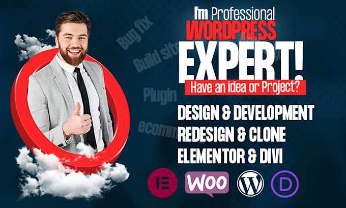 Gig Preview - Design, redesign or clone wordpress, ecommerce website by elementor pro or divi