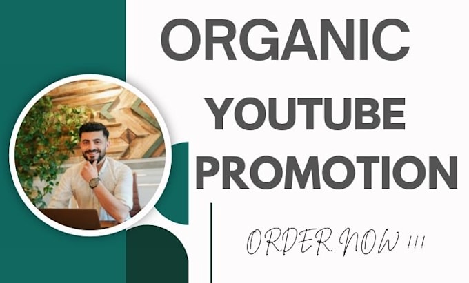 Gig Preview - Do organic youtube video shout out video promotion to boost subs and views