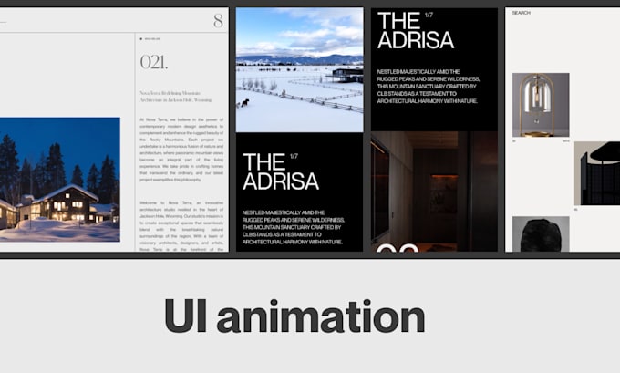 Gig Preview - Create UI animation for webdesign agency