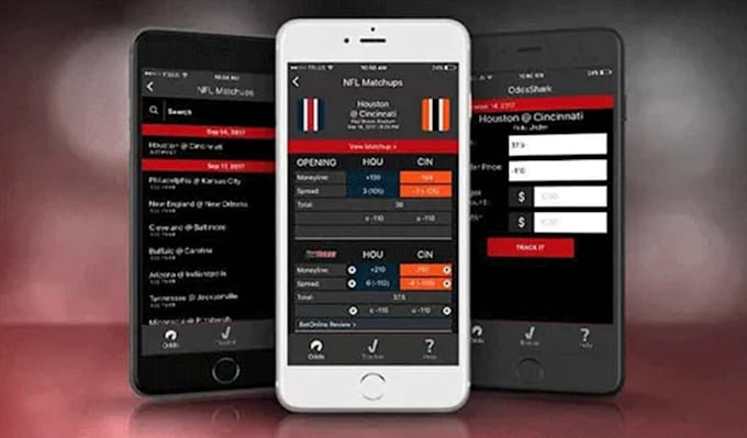 Gig Preview - Develop sportsbet app fantasy sport app sportsbet website fantasy sport website