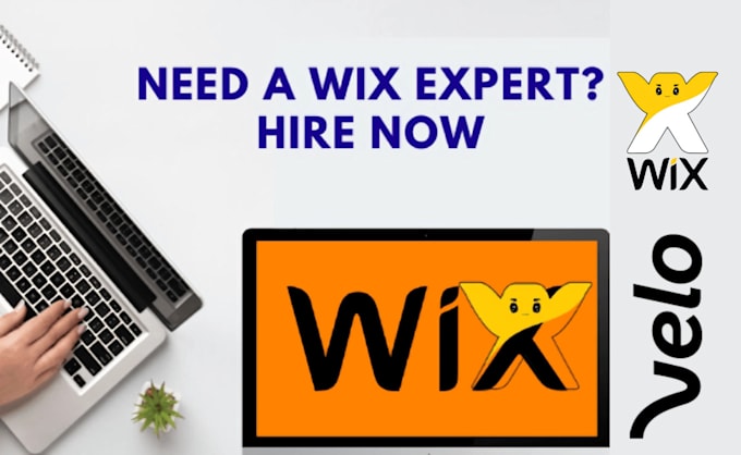 Gig Preview - Wix studio website, wix velo, wix code, wix developer, wix website design, wix