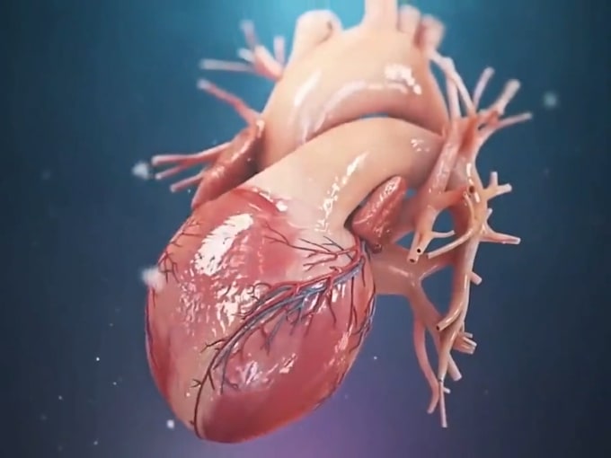 Gig Preview - Create realistic 3d medical animation video, 2d medical animation and modeling