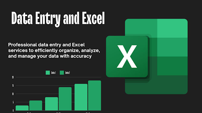 Gig Preview - Do data entry and ms excel