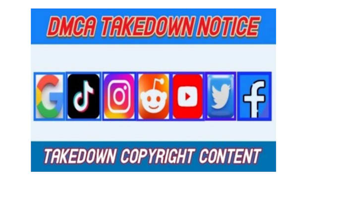 Gig Preview - Takedown reports and remove defamatory harassing on reddit,ig,fb,tiktok,x dmca