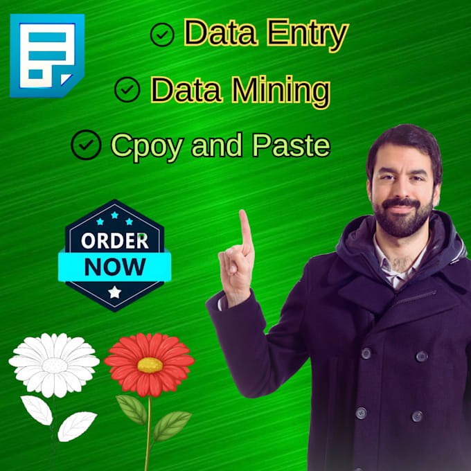 Gig Preview - Do fast any data entry and data scraping accurately for you