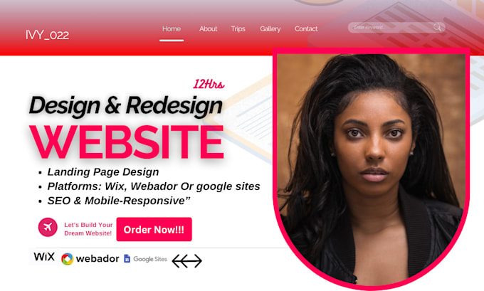 Gig Preview - Design redesign website landing page on webador google sites or hostinger