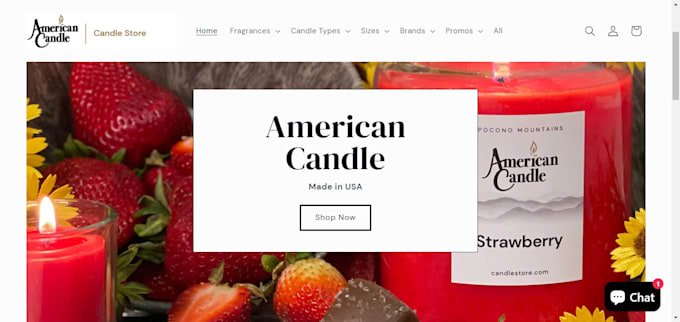 Gig Preview - Candle shopify store scented candle store candle website dropshipping store