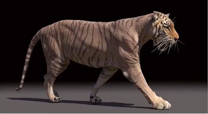 Gig Preview - Do 3d animal animation, 3danimal creatures, 3d character rigging, groom fur, vfx