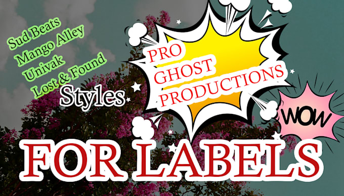 Gig Preview - Pro ghost production for record labels