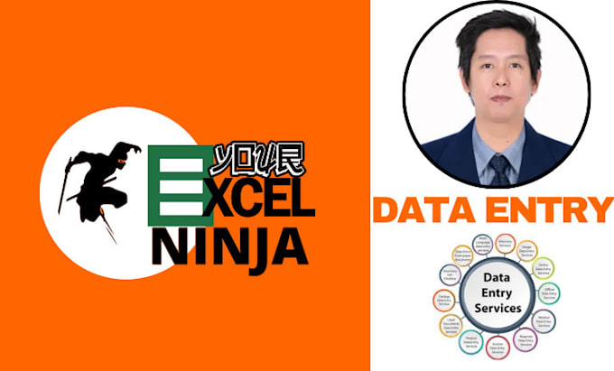 Gig Preview - Do accurate data entry services with excel and power bi expertise