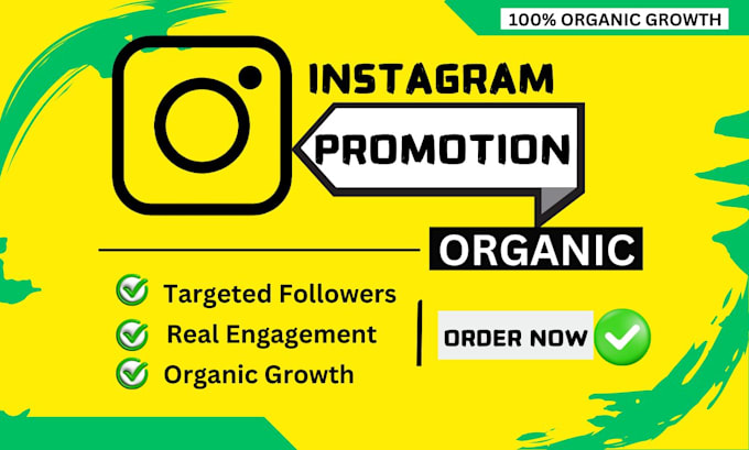 Gig Preview - Do super fast organic instagram growth to increase followers