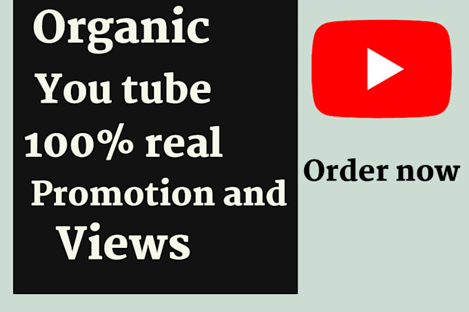 Gig Preview - Boost your youtube video views with organic promotion