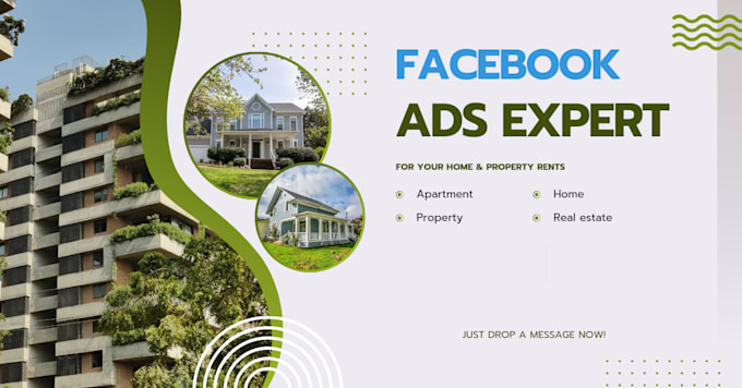 Gig Preview - Do facebook ads management service in low price