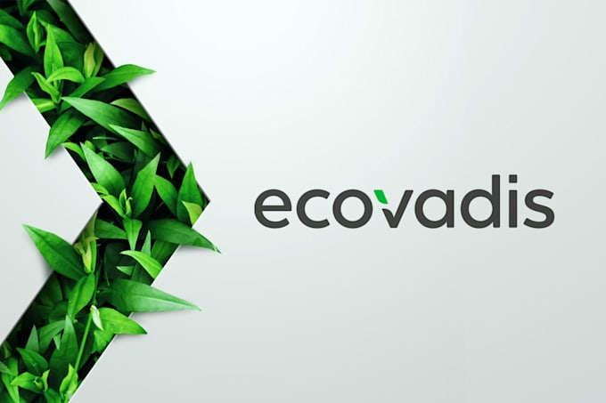 Gig Preview - Provide ecovadis sustainability assesment documentation to achieve a great score