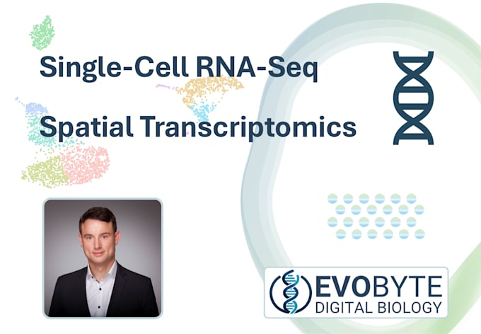 Gig Preview - Analyze single cell rna seq and spatial transcriptomics data