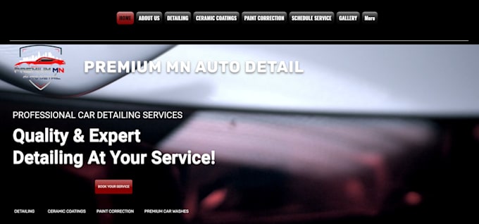 Gig Preview - Design auto detailing and car wash website