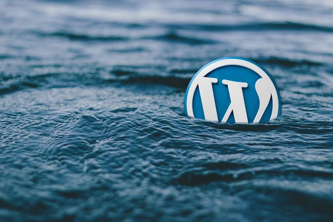 Gig Preview - Secure your wordpress website against hackers and vulnerabilities