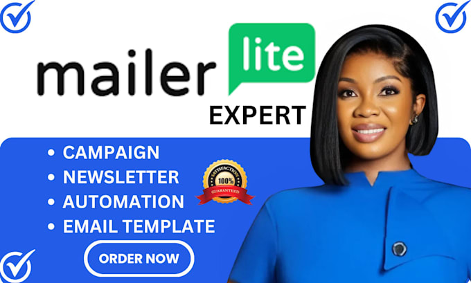 Gig Preview - Set up mailerlite email marketing, automation, landing pages