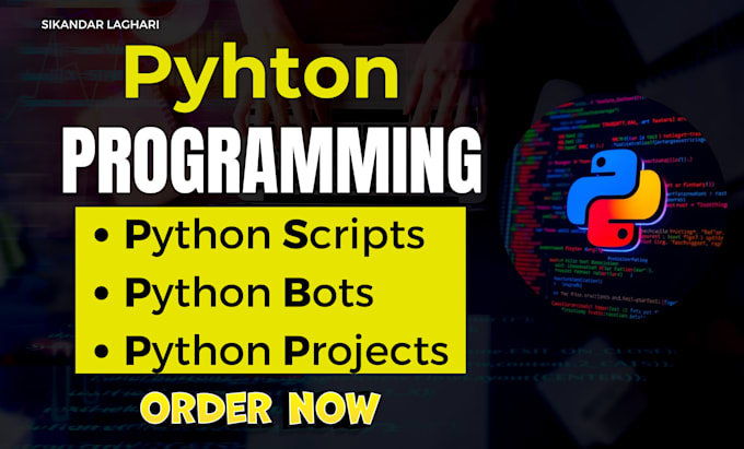 Gig Preview - Be your python programmer