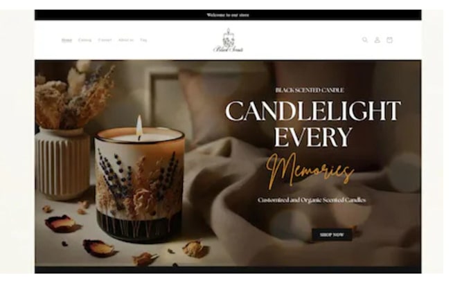 Gig Preview - Build candle shopify store candle dropshipping store candle website candle store