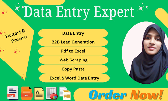 Gig Preview - Do perfect data entry for you and your business