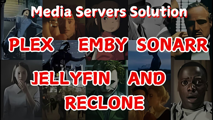 Gig Preview - Build media server solutions with plex, emby, jellyfin, sonarr and reclone