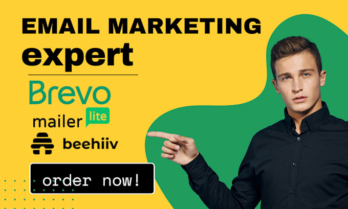 Gig Preview - Set up your mailerlite, convertkit, brevo, beehiiv email marketing