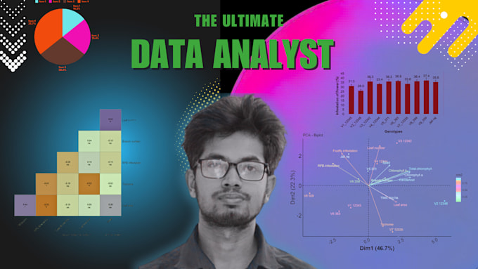 Bestseller - perform data analysis and data visualization with r, spss, power bi and excel