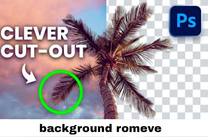 Gig Preview - Do photo editor,  product image background removal