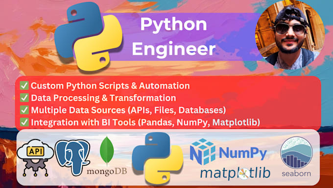 Gig Preview - Be your professional python engineer, create efficient data solutions