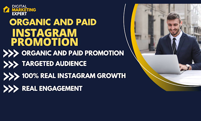 Gig Preview - Do instagram marketing for organic instagram growth and paid campaigns