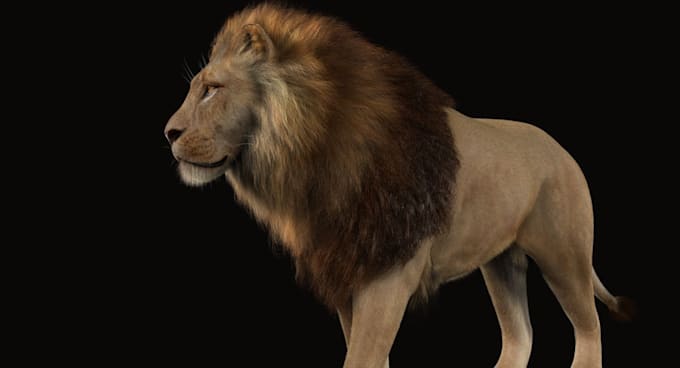 Bestseller - cgi animal animation 3d animal model vfx composite 3d animal animation in film