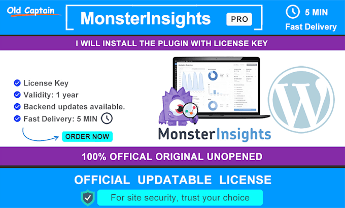 Gig Preview - Install monsterinsights pro and activate agency addons license within 5 min