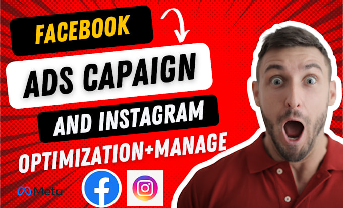 Gig Preview - Run faccebookand instagram ads campaign for your business