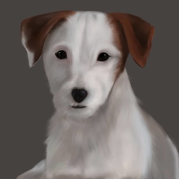 Gig Preview - Pet illustration pet portrait pet drawing