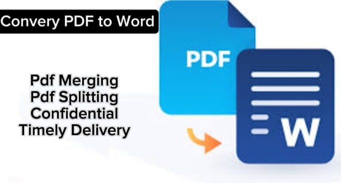 Gig Preview - Convert pdf file to word