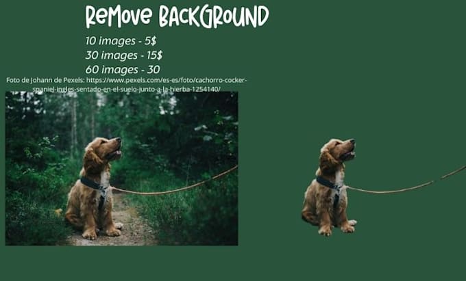 Gig Preview - Remove background from an image