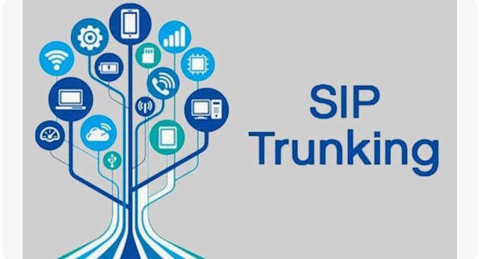 Gig Preview - Arrange sip user, sip routes and sip trunks for USA voip, 3cx, verification