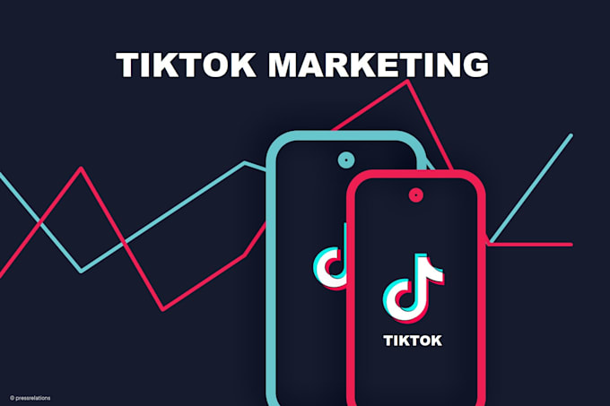 Gig Preview - Manage tiktok marketing to promote and grow audience