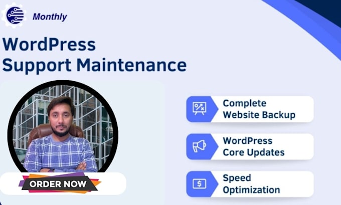 Gig Preview - Be your wordpress website maintenance expert