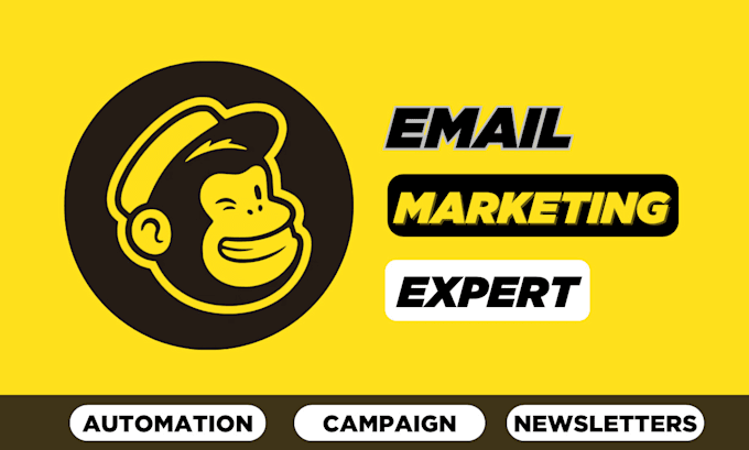 Gig Preview - Design mailchimp newsletter email template automation campaign landing page