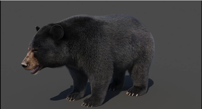 Gig Preview - Do realistic cgi 3d fur, 3d animal model, 3d animal animation