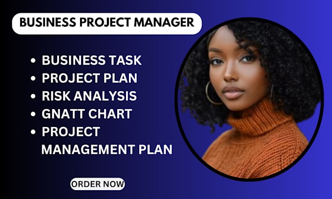 Gig Preview - Do project plan, business task, risk report writing