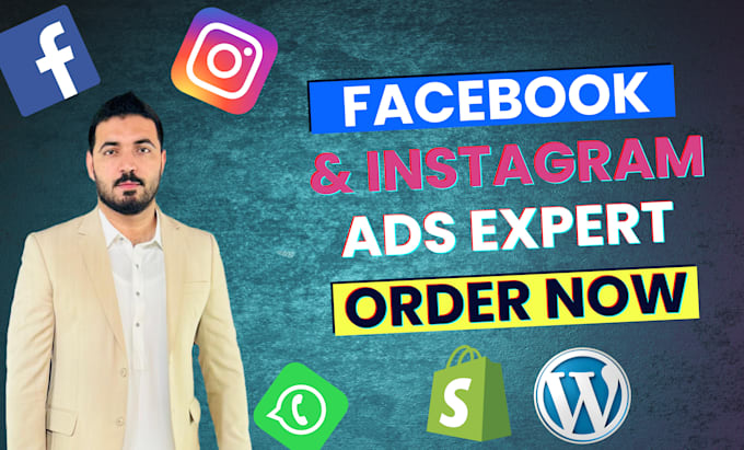 Gig Preview - Facebook and instagram ads campaign for leads and sales